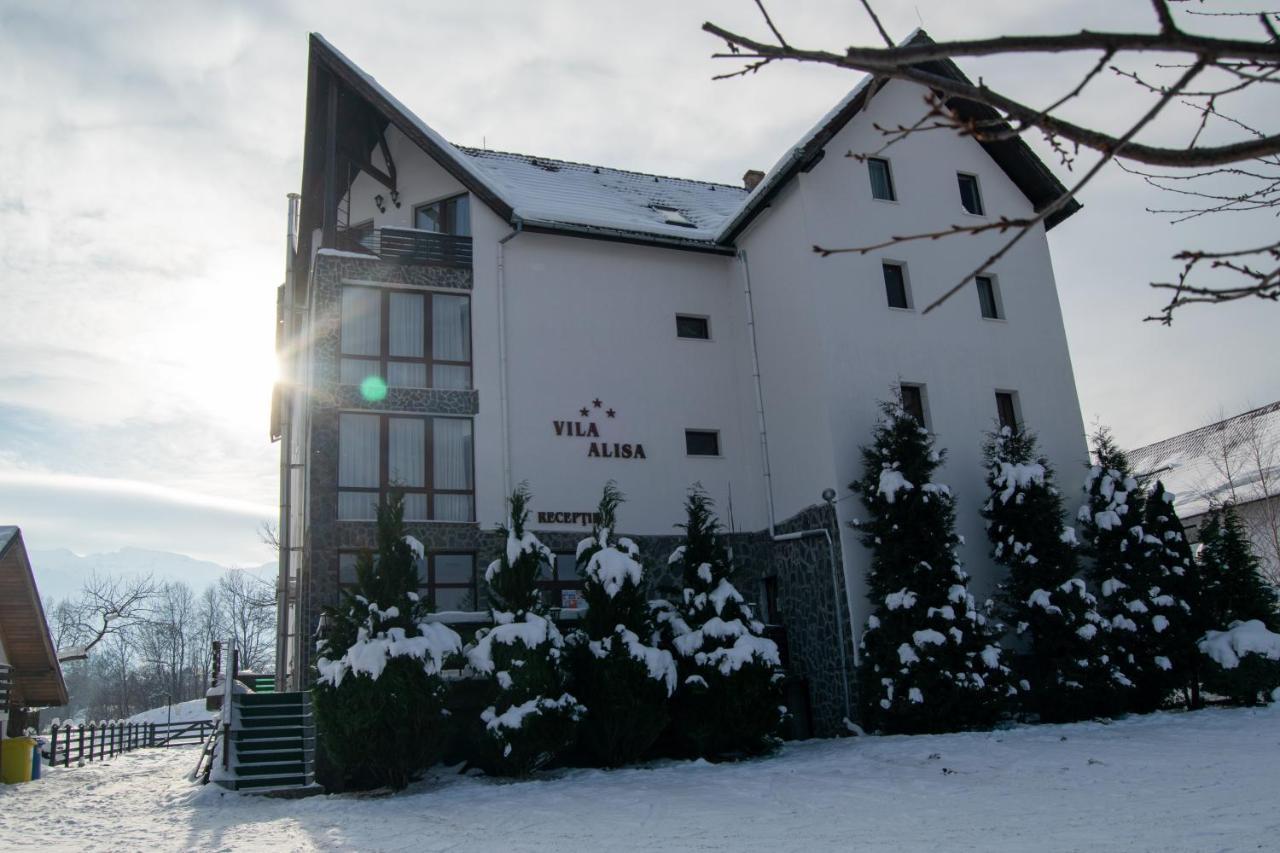 Pensión Alisa Bran (Brasov)